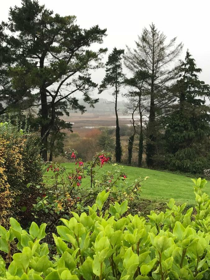 Mick'S Cottage Loughrea Esterno foto