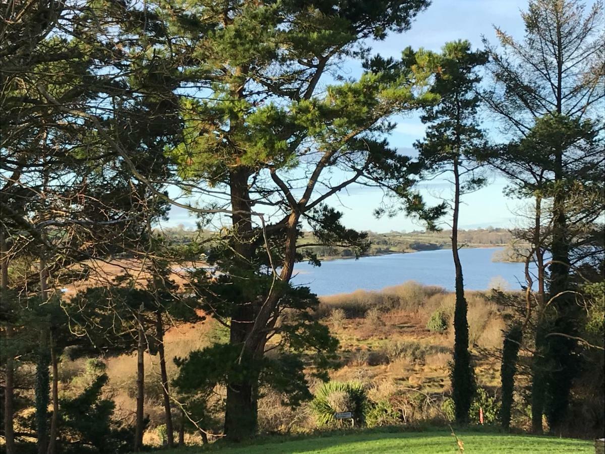 Mick'S Cottage Loughrea Esterno foto