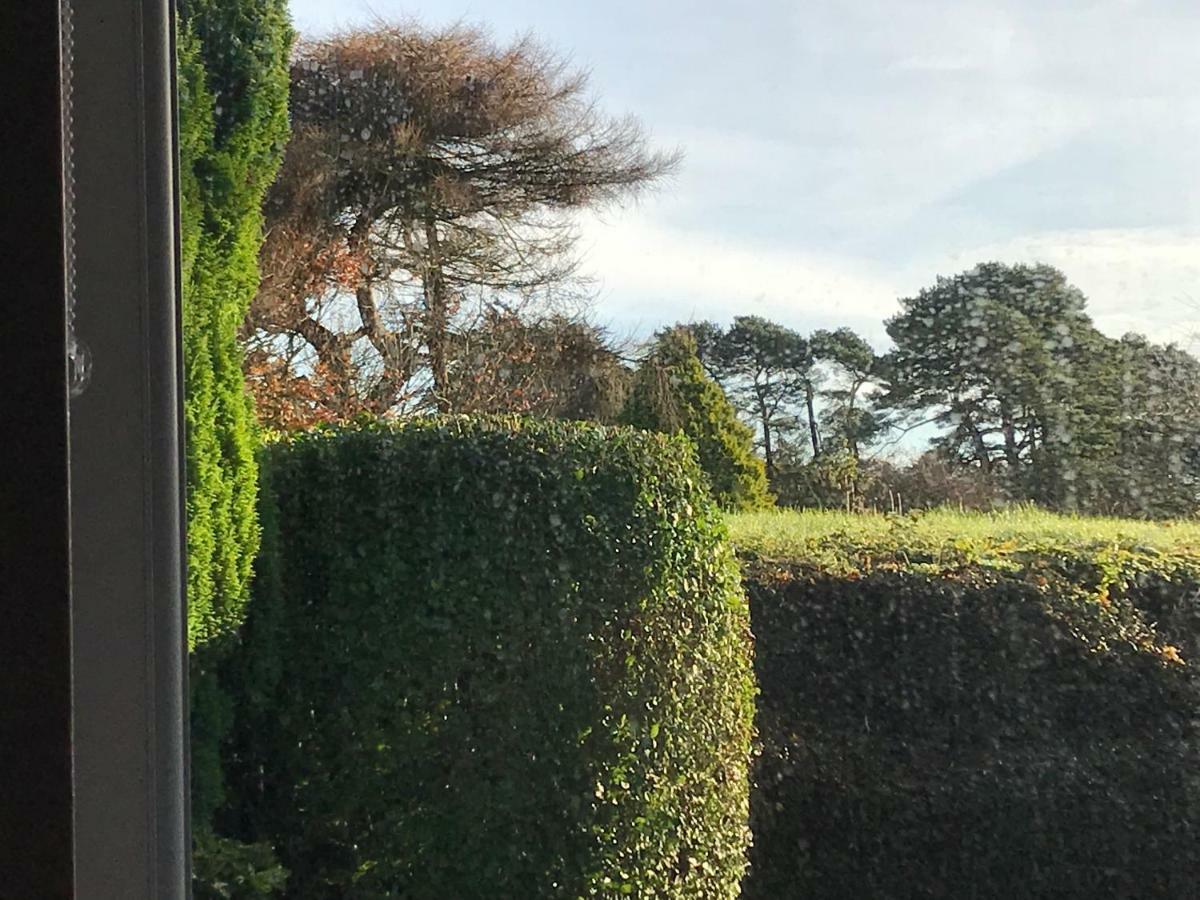 Mick'S Cottage Loughrea Esterno foto